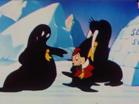 COLOR CLASSIC "Flip Flap"