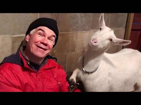 When Animals and Humans Share Decades of Friendship