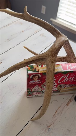 14 reactions | I think I’ve found the secret combo! @601outdoorscents #hunting #bowhunting #deerseason | Shane Bramlett | Facebook