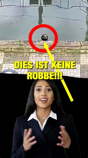 Sie tarnen sich jetzt als Tiere! Hier gehts zu den Büchern: https://www.amazon.de/stores/author/B089WH1HDC/allbooks | EBURD