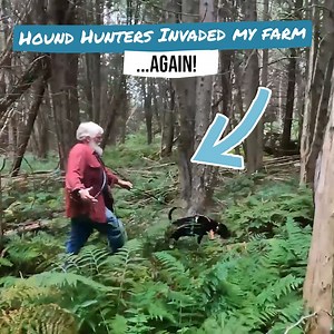 29M views · 117K reactions | Hound Hunters On My Farm! AGAIN!  | Gold Shaw Farm | Facebook