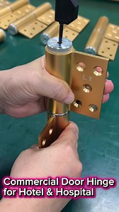 3-in-1 Hydraulic Door Hinge for US Commercial Doors