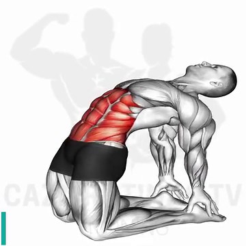 710K views · 2.1K reactions | Full abs workout | El caza Rutinas tv | Facebook