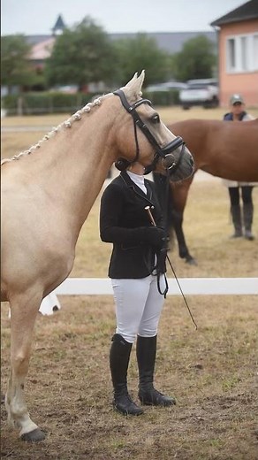 🏆 Mila Jourdain & Ecume et Or d'Herbord, championnes de France As Poney 1 de CCE 2025 ! 🇫🇷🐴