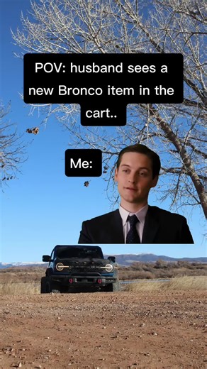 Magical Fairies: Uncovering the Real Story