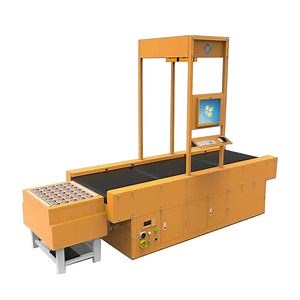 Sorting System Express Parcel Dimension Weighing Scanning Sorting Conveyor Line