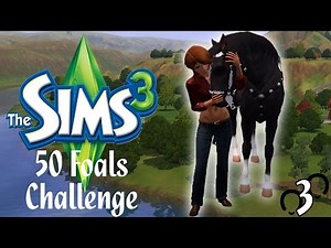Let's Play: The Sims 3 50 Foals Challenge - Part #3 - Horse Racing and Pregnancy!
