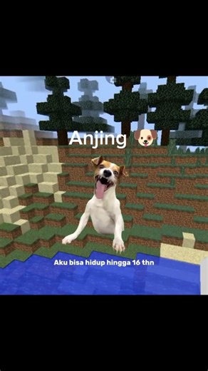 Ada yg tau coba jelasin🙀#minecraft#makhlukhidup#memes#hiburanlucu.