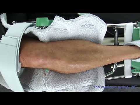 Spectra Knee CPM Setup