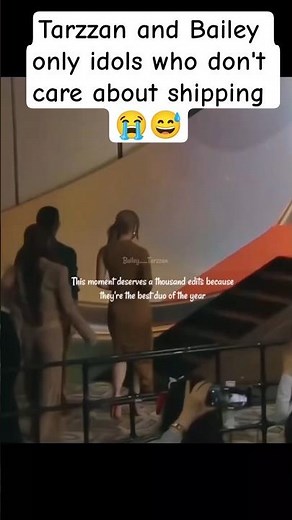 giving vibe of Mr and Mrs 🤭😭😅#tarzzan#bailey★#ALLDAYPROJECT #올데이프로젝트 #더블랙레이블 ##BAILEY #베일리#kpop