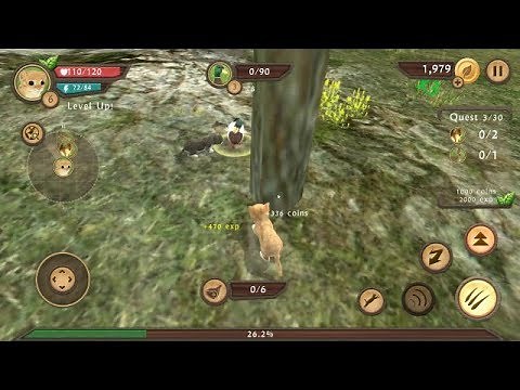 Cat Sim Online Turbo Rocket games