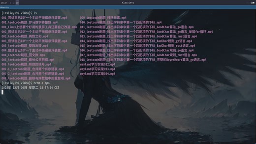 020_leetcode刷题_找出字符串中第一个匹配项的下标_Sunday算法_go语言