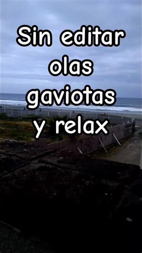 Vista desde mi cuarto 📍Hotel Pelicanos 😍