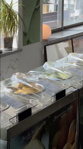 젤라또 생산부터 보관, 쇼케이스 기능까지 한번에 #nemox #gelato #dessert