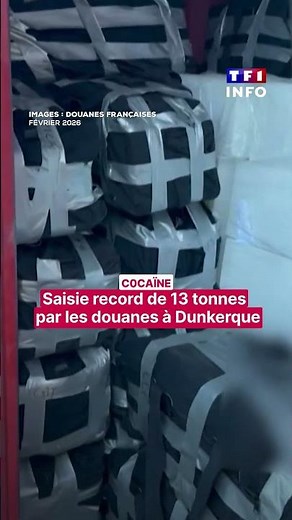 Cocaine: Record seizure of 13 tons by customs in Dunkirk | TF1 INFO