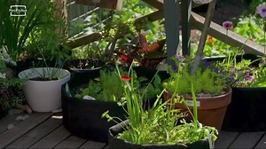 On the show tonight, Joh catches up with artist Elise Cameron-Smith. Adam creates some curvy shelves. Fast Ed makes a mango no-bake cheesecake tart. Dr Harry helps a dog get over a fear of the family bus. 퐁퐞퐭퐭퐞퐫 퐇퐨퐦퐞퐬 & 퐆퐚퐫퐝퐞퐧, tonight at 7pm on Fiji One | Fiji One | Facebook