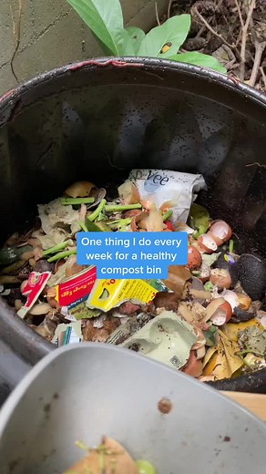 Essential Tips for Effective Composting Techniques