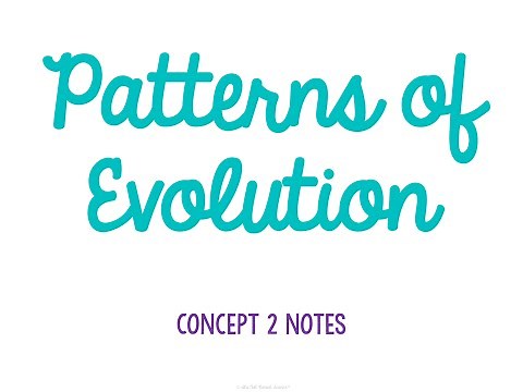 Unit 6 Evolution Concept 2 Notes *UPDATED*