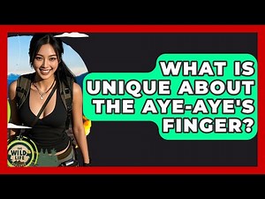What Is Unique About The Aye-aye's Finger? - The Wild Life Explorer