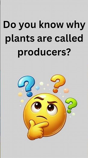 Why Plants Are Producers 🌱 | Basic Science #PlantBiology#PlantsAreProducers#Producers#PlantFood