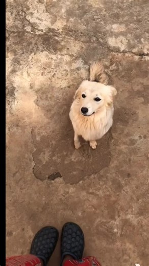 Overprotective Mom Hides Kids Deep in the Hole