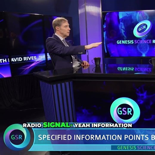 What explains the origin of information?