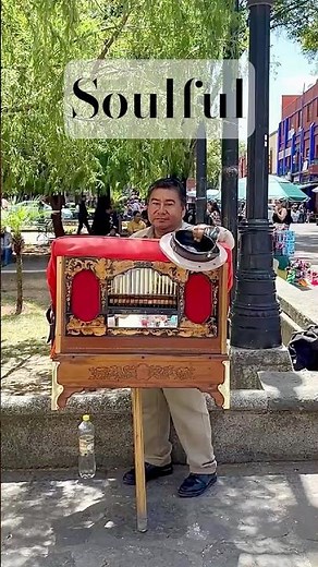 Mexican Tradition Coyoacán Organillero | Mexico City Travel Short