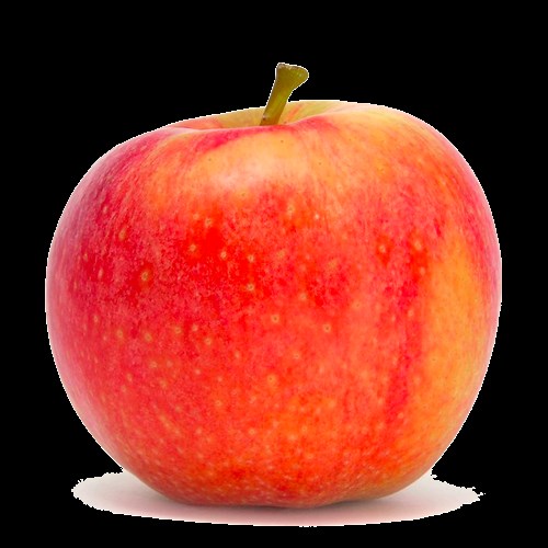 Sundowner (Cripps Red) Apple Review - Apple Rankings by The Appleist Brian Frange