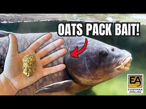 Quick & Easy Carp Bait! (Oats Pack Bait Recipe)