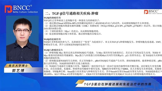 TGFβ蛋白在肿瘤进展和免疫治疗中的作用