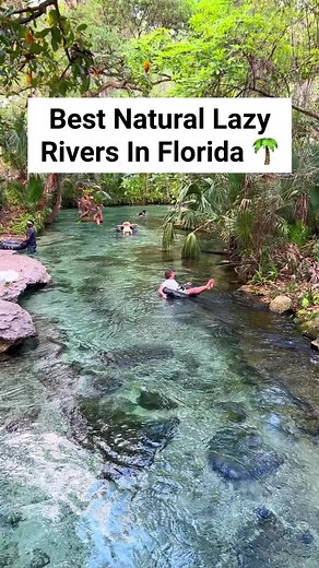 64K views · 1.8K reactions | Natural lazy rivers in Florida #lazyriver #lazyrivers #natural #naturallazyriver #river #rivers #floridariver #floridarivers #floridavacation #usatravel #vacation #traveltheworld #getaway #bucketlist #travellife #hiddengems #traveltips #staycation #secretspot #hiddengem #florida #traveldiaries #naturalsprings #floridasprings #nature #swimming #underwater #floridaspring #natural | Florida Trippers | Facebook