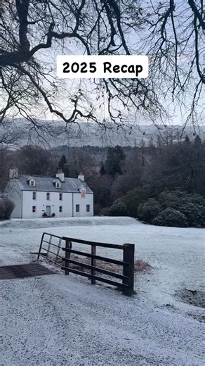 Lauree Stephens Designs on Instagram: "2025 Recap… A year of painting, projects and being creative. This beautiful old house in the Scottish countryside is the perfect canvas for trying new things and painting pictures on walls 🤩 #scottishhighlands #ruralliving #oldhouses"
