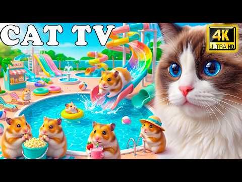 🔴 Cat TV for Cats to Watch 🐭 Cute Mice Exploring Hidden Tunnels 🌳 Fun Stimulation for Indoor Cats