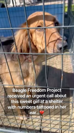 9.7K views · 1K reactions | ❤️ Meet Our Newest Laboratory Testing...