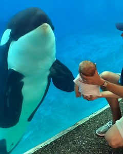 When whale meets baby 🥹 👶 | Tyla