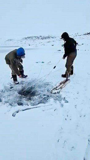 Ever wondered how our Arctic char are caught? This incredible video was sent to us by fisher Andrew Aiyout last month, showing him and his team setting nets below the ice near their homes in Taloyoak, Nunavut. With the early arrival of snow, Andrew is hoping it won't be long before they can begin catching char for our members! Stay tuned for our wild-caught Arctic char in the new year! #arcticchar #wildseafood | Skipper Otto