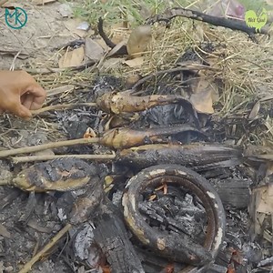 Cá đồng nướng trui món ngon nhanh gọn lẹ | Nét Quê Channel