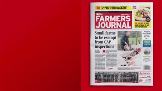 31 reactions | In this week's Irish Farmers Journal: - Small farms to be exempt from CAP inspections - Choosing the right forestry scheme for your farm - We investigate the rising cost of farm building construction - And don't miss our contracting special, on sale now | Irish Farmers Journal | Facebook