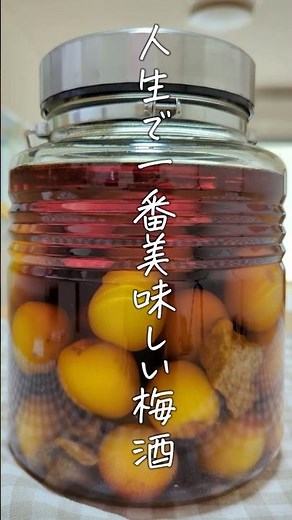 人生で一番美味しい ブランデー黒糖梅酒がこちら 梅の時期に作ってみて #梅酒 #黒糖梅酒 #ブランデー梅酒