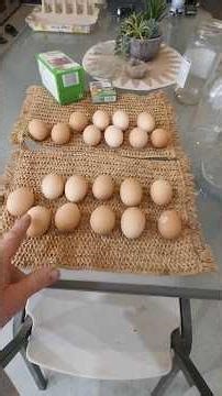 Making Hard Boiled Eggs For Pickling