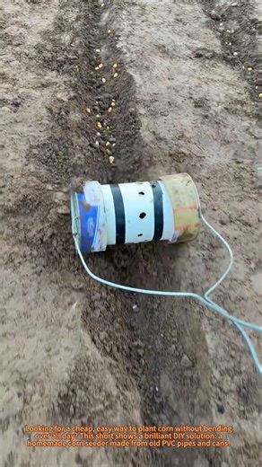 DIY Corn Seeder: Homemade PVC Pipe Planter in Action 🌽