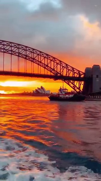 8K views · 427 reactions | The Disney Wonder making her way into Sydney ✨  @sydney_maritime_institute | Disney Cruise Line | Facebook