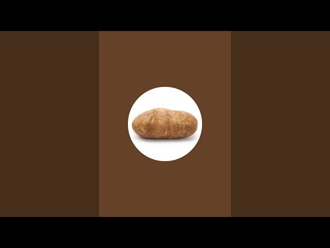 JoshPlayzGamezz is hatching more chicken eggs