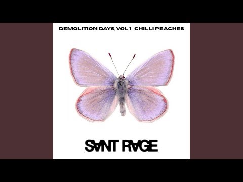 off to the races (demo days, vol 1)