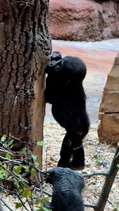 2.3K views · 1.6K reactions | “Zajímavej kmen, ten ještě budu muset...