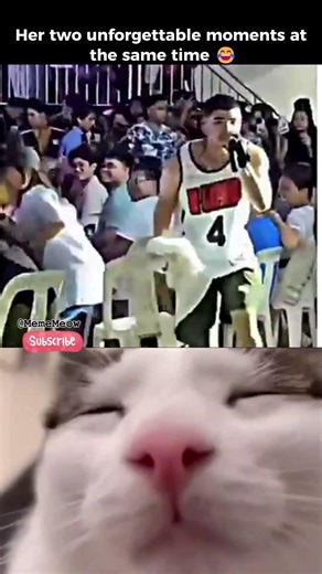 Her two unforgettable moments at the same time 😂#cat #meme #dance #funny