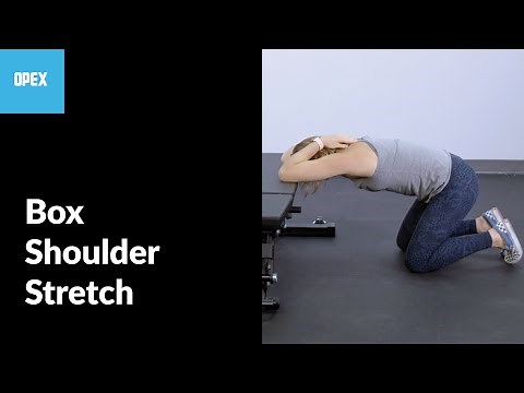 Box Shoulder Stretch - OPEX Exercise Library