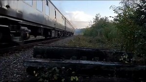 6.3K views · 218 reactions | Saturday 2nd August - Green Timetable Caledonian Railway No. 828 & Class 31/4 31430 ‘Sister Dora’ are pulling our trains today. Tunbridge Wells West dep: 10:00, 11:15, 12:45, 14:00 & 15:30. Eridge dep: 10:35, 11:50, 13:20, 14:35 & 16:05. Normal loco swaps at Eridge will be taking place during the day. | Spa Valley Railway - Royal Tunbridge Wells, Kent | Facebook