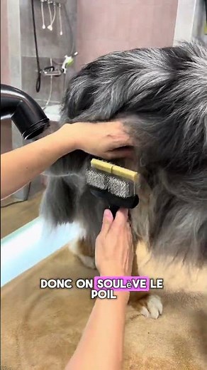 Are you using a carding machine? You still need to have the right technique!