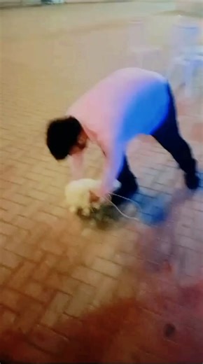 Arsi (@arsi8541)’s videos with original sound - Arsi
